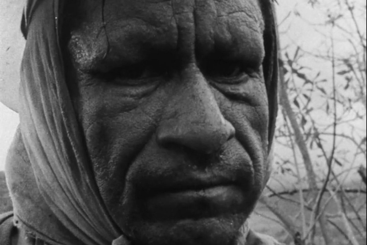 Paysans / La Voix des survivants