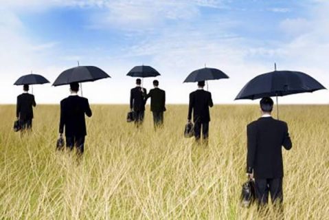 hommes en noir de dos avec parapluie au milieu des champs