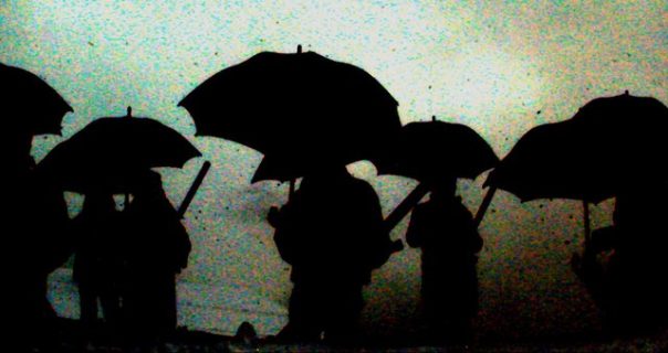 Parapluies, rossignols (longues et fines cannes creuses), ombres