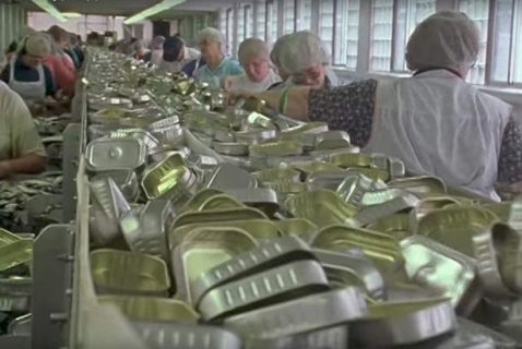 Des ouvrières mettent en boite des sardines dans une usine.