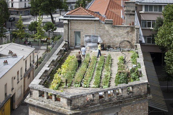 Bacs de plantations sur le toit des immeubles