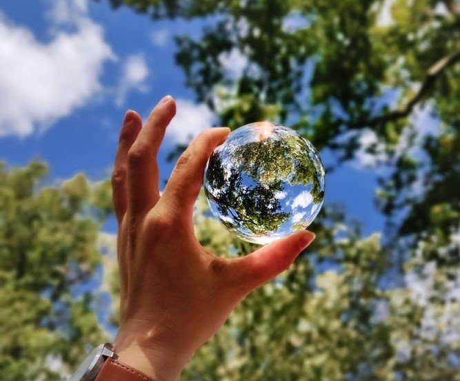 Main tenant une boule en verre dans laquelle les feuilles d'un arbre se reflètent