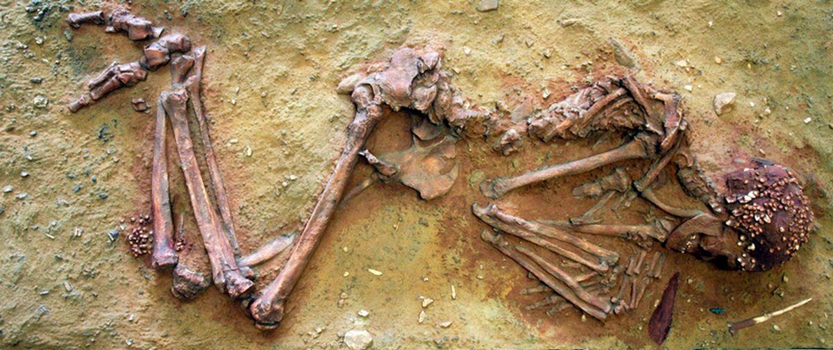 Squelette fossile de la Dame du Cavillon