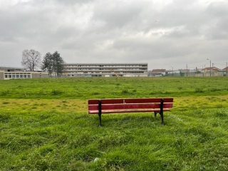 un banc sur une pelouse, face à une barre d'immeuble